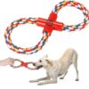 The Pets Company Cotton Rope Loop Tug Dog Chew Toy, Puppy Teething Toy, 14 inches, Color May Vary