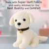 Storio Soft Plush White Puppy Stuffed Animal with Bell Collar| Kids Animal Home Decor for Boys & Girls Soft Dog Plush Toy - 25cm