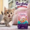 Kitten Dry Cat Food | Chicken & Ocean Fish | 1.2 kg | 40% Reduction in Urinary Track Diseases |Promotes Brain & Vision Development | Enhances Immunity | Improves Digestive Health