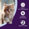 Kitten Dry Cat Food | Chicken & Rice | 1.2 kg |40% Reduction in Urinary Tract Diseases | Promotes Brain & Vision Development | Enhances Immunity |Improves Digestive Health