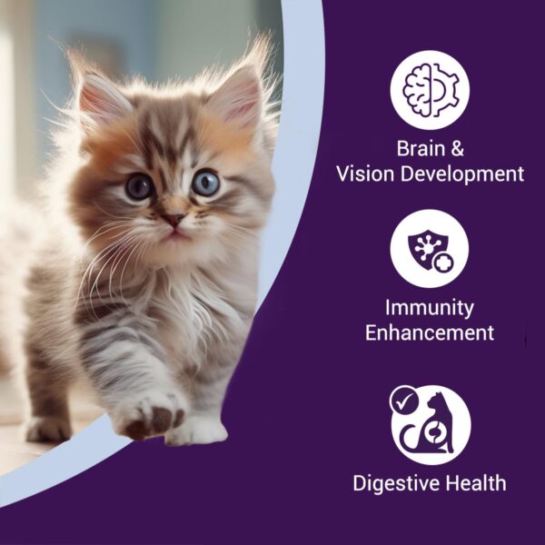 Kitten Dry Cat Food | Chicken & Rice | 1.2 kg |40% Reduction in Urinary Tract Diseases | Promotes Brain & Vision Development | Enhances Immunity |Improves Digestive Health