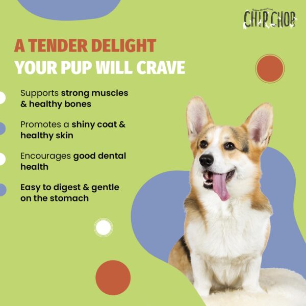 61qhXVC3TjL._SL1500_.jpg Chip Chops All Life Stages Chicken Tenders Slice, Dry Dog Treat, 70g, Optimum Health Formula