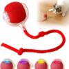 Interactive Cat Ball Toy, 2024 New Automatic Moving Dog Cat Interactive Cat Ball Toy, 2024 New Automatic Moving Dog Cat Balls, Premium Smart Self Rolling Cat Ball Kitty Toys USB Rechargeable, Cat Enrichment Toys for Bored Indoor Cats Dogs