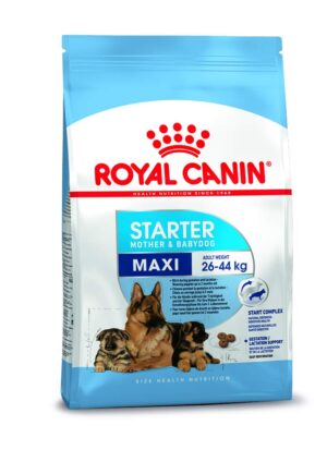 Royal Canin Maxi Starter, Mother & Babydog Food, 1 Kg, Royal Canin Maxi Starter, Mother & Babydog Food, 1 Kg, Dry Food, Supports Complex Natural Defence & digestive health, Provides Gestation/Lactation Support, Supports Easy rehydration