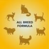 61rU11sQyYL._SL1500_.jpg Purepet Wet Cat Food,Real Tuna Flavour 1.5kg(50g X 30) Pack of 30