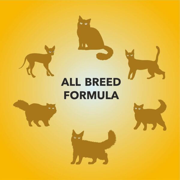61rU11sQyYL._SL1500_.jpg Purepet Wet Cat Food,Real Tuna Flavour 1.5kg(50g X 30) Pack of 30
