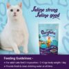 Adult Wet Cat Food | Oceanfish in Gravy |80 GMS (Pack of 12)| Gluten Free | Supports Hydration | Highly Palatable