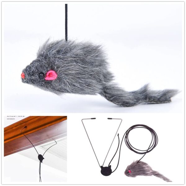 61s8gcBUyOL._SL1102_.jpg Qpets® Cat Teaser Toys, Cat Feather Toys, Hanging Cat Toys for Indoor Cats Interactive Elastic Rope, Cat Toys for Persian Cat Soft Toy with Plushed Mice Pendent