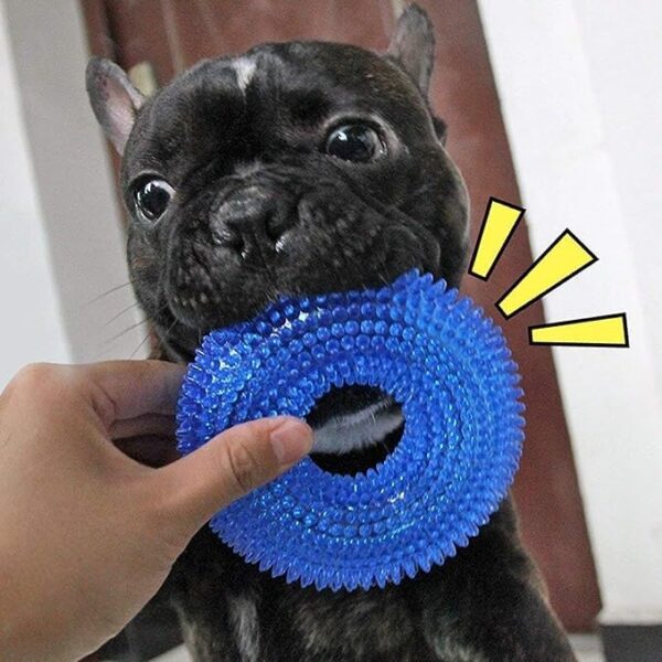 61sWPoZVM8L.jpg Dog Trust Durable Natural Rubber Hard Spiked Ring Shape Chew Toy Ideal for Teeth Cleaning and Chewing Dogs & Puppies (Multicolor) for Aggressive Chewer