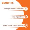 61taBKmPSbL._SL1500_.jpg Dry Dog Food Adult 20kg | High Protein Chicken, Rice, Vegetables| 39 Essential Nutrients| Healthy Skin Shiny Coat, Strong Bones & Muscles| Complete Balanced Pure Pet Food for Pedigree Dog