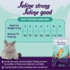 61tiNRIGqiL._SL1200_.jpg Adult Dry Cat Food | Chicken & Ocean Fish | 1.2 kg | 40% Reduction in Urinary Track Diseases |Anti Hairball Formula |Healthy Skin & Coat |Improves Digestive Health