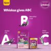 61tvB5SvZkL._SL1001_.jpg Whiskas Persian Adult (1+ Years) Dry Cat Food, 6.8kg, 100% Complete & Balanced Tailor Made Nutrition, Reduces Hairfall, for Healthy Coat & Skin