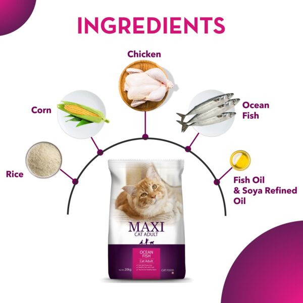 61u4GFymVML._SL1500_.jpg Maxi Ocean Fish Dry Cat Food 6.5kg, Adult