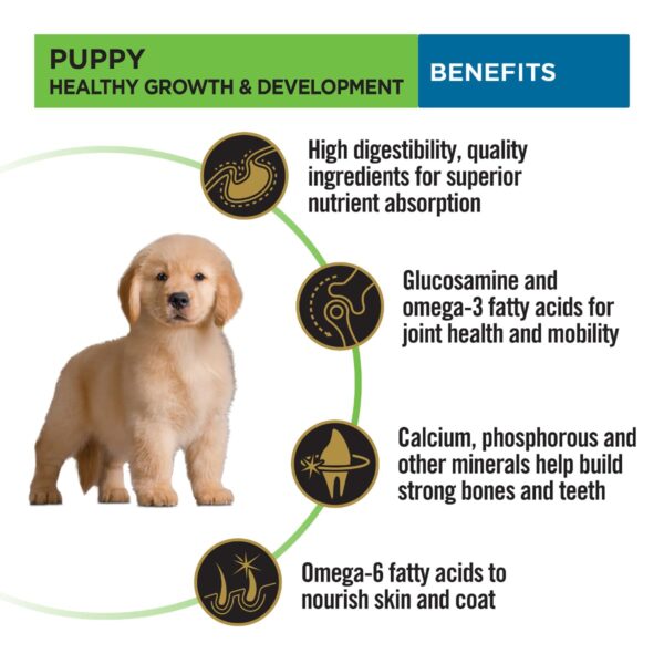 61vIcqI2lfL._SL1200_.jpg PURINA PRO Plan Puppy Food for Large Sized dogs-1kg
