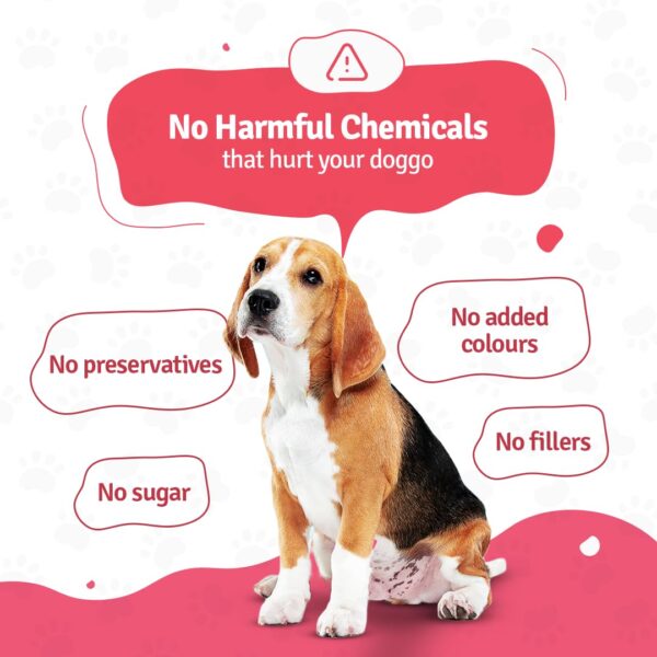 61vOJ0OY65L._SL1080_.jpg BLEP Dog Food Adult & Puppy | 200g | Dog Wet Food, High Protein, Omega 3&6, Contains Chicken Breast, Broccoli, Fresh Vegetables, Zero Preservatives, Digestible, Human Grade Fresh (Pack of 1)