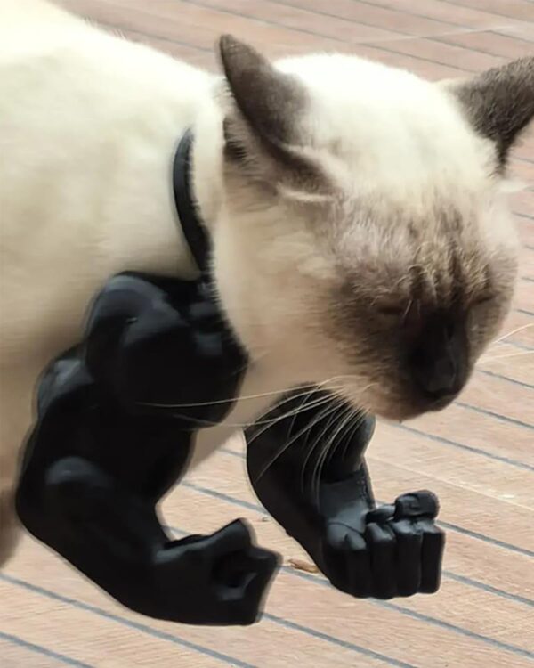 Cat Toy, Cat Arms, Muscle Arms, Large Black, Funny Pet Props for Interactive Play, Unique Gift for Enthusiasts, Social Media Worthy Decoration, Size 6.38 x 6.77 x 3.46 Inches