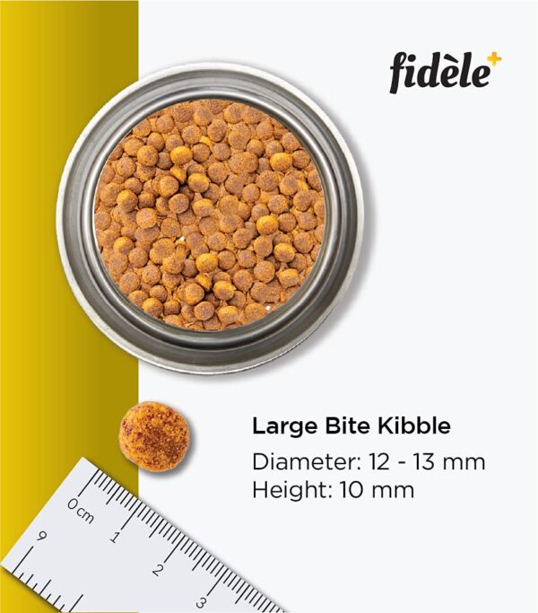 Fidele+ Dry Dog Food 1 Kg Large Breed Puppies Complete & Balanced Diet Supports Growth, Energy, Joints & Immunity No Artificial Flavours, Preservatives