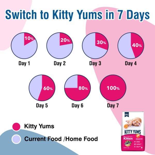 Kitty Yums Kitten(1-12 Months) Dry Cat Food, Ocean Fish, 1.2kg Pack