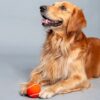 Heads Up For Tails Quintessential Tennis Dog Ball - Set of 2