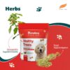 Himalaya Healthy Dog Biscuit Treats for Puppy with Chicken I Supports Digestion & Immunity | Training & Rewards | 500g