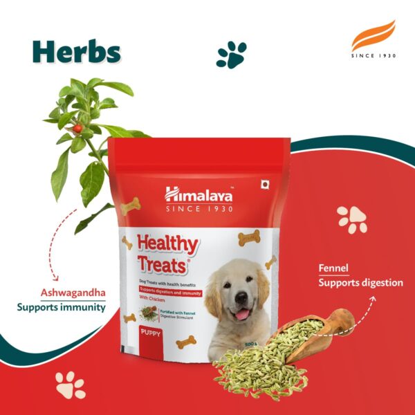 Himalaya Healthy Dog Biscuit Treats for Puppy with Chicken I Supports Digestion & Immunity | Training & Rewards | 500g