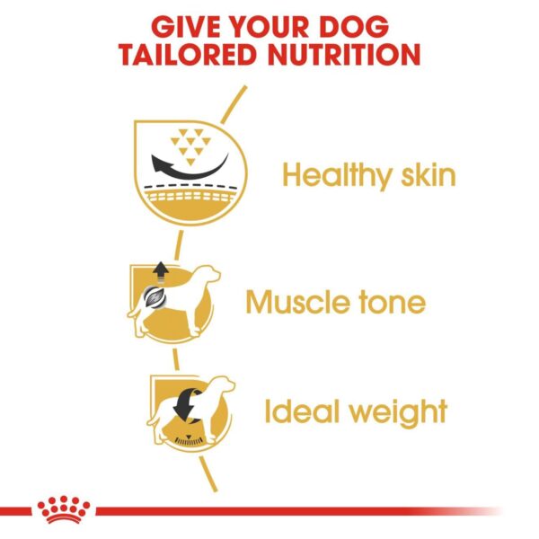 61wWLKmhsEL._SL1500_.jpg Royal Canin Pug Adult Dog Food, 1.5 Kg, Dry Food, Supports Healthy Skin & Ideal Weight, Helps to Tone Muscles
