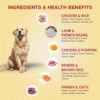 Benny's Bowl Fresh Dog Food - Trial Packs - 5 Packs X 100g (All Recipes), All Life Stages, Semi-Solid