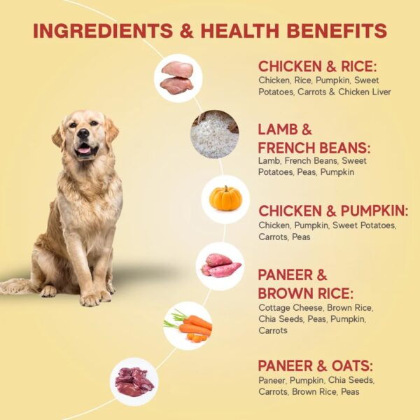 Benny's Bowl Fresh Dog Food - Trial Packs - 5 Packs X 100g (All Recipes), All Life Stages, Semi-Solid