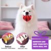 61x8WCY3laL._SL1500_.jpg PETS EMPIRE Interactive IQ Treat Dispenser, Food Dispenser Ball, Dog Training Feeding Balls, Bite Resistant Chew Toy Ball, Slow Feeding Dispensing Game for Dogs, Puppies - 6 cm