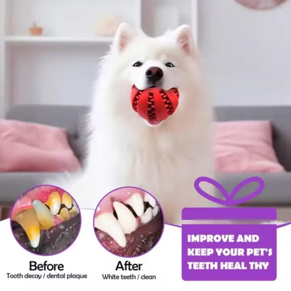 61x8WCY3laL._SL1500_.jpg PETS EMPIRE Interactive IQ Treat Dispenser, Food Dispenser Ball, Dog Training Feeding Balls, Bite Resistant Chew Toy Ball, Slow Feeding Dispensing Game for Dogs, Puppies - 6 cm