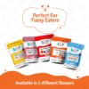 61xaiaLsajL._SL1080_.jpg BLEP Fresh Dog Food (Wet) Human Grade, Grain Free|Paneer, Quinoa & Mixed Veggies|Omega 3, 6, Vitamin A, D, E, B|Zero Preservatives & Sugar|Easily Digestible|for All Dog Breeds|100g (Pack of 1)