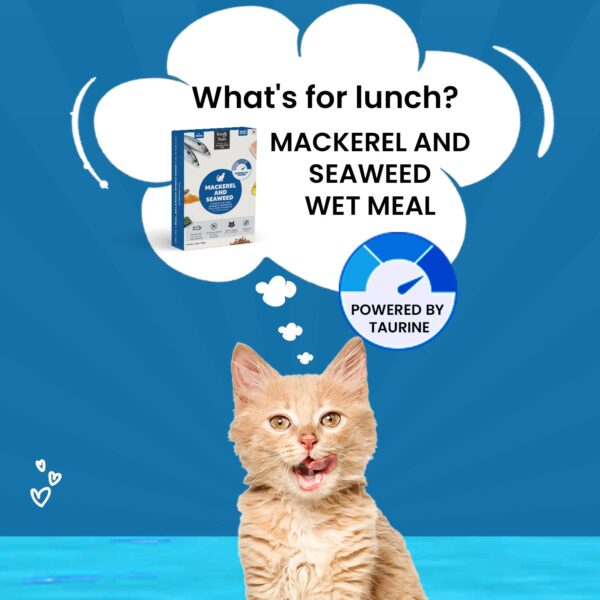 Goofy Tails Mackerel and Seaweed Wet Cat Food and Kitten Food, 350g (70g X 5 Pouches), Preservative Free, Gluten & Grain Free, Balanced Cat Wet Food, Powered by Taurine with Omega 3 & Antioxidants