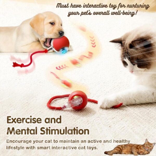Interactive Electric Automatic Rolling Moving Rechargeable Self Play Stimulation Toy for Cats and Small Dogs - Smart Pet Chase Ball with Speedy Tail Rope for Indoor Enrichment (Red)