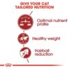 Royal Canin Fit 32 Regular for Adult Cats, 1 Kg, Dry Food, Supports Optimal Nutrient Profile and Healthy Weight