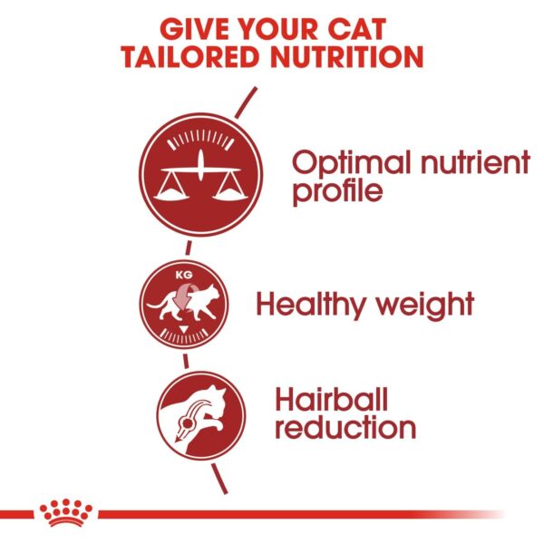 Royal Canin Fit 32 Regular for Adult Cats, 1 Kg, Dry Food, Supports Optimal Nutrient Profile and Healthy Weight