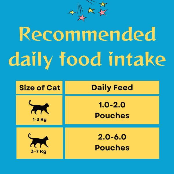 PETS EMPIRE Moochie Tasty Wet Cat Food (85 g Pack X 5) Grain Free Cats Gravy Meal, No Artificial Flavours Kitten Food, Non-Vegetarian Cat Foods Pouch, All Flavours Mix for Adults & Kittens