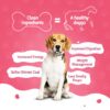 61zBFZXQE7L._SL1080_.jpg BLEP Dog Food Adult & Puppy | 200g | Dog Wet Food, High Protein, Omega 3&6, Contains Chicken Breast, Broccoli, Fresh Vegetables, Zero Preservatives, Digestible, Human Grade Fresh (Pack of 1)