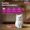61zyuCgwlDL._SL1001_.jpg Whiskas Persian Kitten (2-12 Months) Dry Cat Food, 6.8kg, 100% Complete & Balanced Tailor Made Nutrition, Reduces Hairfall, for Healthy Coat & Skin