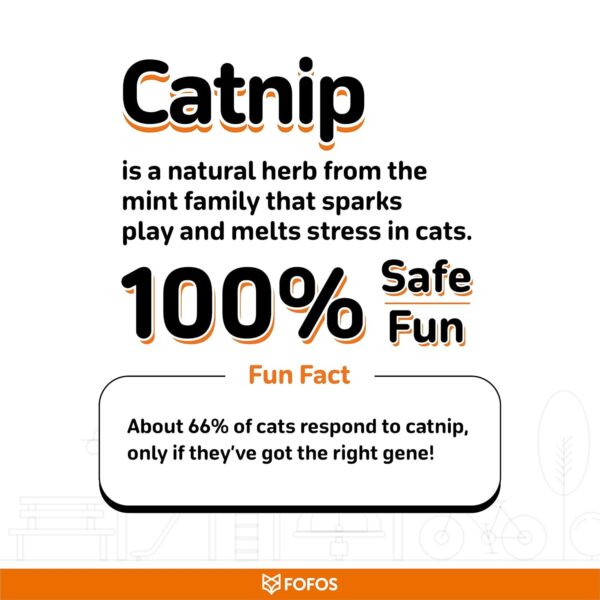 BarkButler x FOFOS Let's Fly Together Wand - Interactive Cat Toys with Catnip - Cat Toy Set - Multicoloured