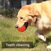 71LIU8l4gL._SL1500_.jpg PremiumAV Knotted Durable Big Ball Rope Toy for Dogs & Puppies – Tough Chew Toy, Long-Lasting Dental Care & Interactive Fetch Toy for Aggressive Chewers