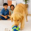 71-JeqiFBvL._SL1500_.jpg The Pets Company Snuggle Snuffle Dog Feeder Ball – Interactive Puzzle Toy for Dogs, Mental Stimulation, Anxiety Relief, Slow Feeding, Machine Washable, Treat Dispenser, Multicolor - 6 Inches