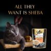 Sheba Fine Premium Adult (1+ Years) Wet Cat Food, Chicken with Tuna in Gravy, 70 g Pouch, High-Moisture Gravy cat Food for Healthy Hydration