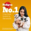 Pedigree Puppy Dry Dog Food, Chicken & Milk, 20 kg, Contains 37 Essential Nutrients, 100% Complete & Balanced Food for Puppies
