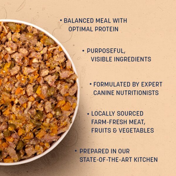 71-c4uoCb-L._SL1080_.jpg Heads Up For Tails Sara's Wholesome Grain-Free Range Dog Wet Food (Lamb And Apple - 300Gm) - All Life Stages