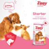 Zippy Starter Dry Dog Food - 1.2 Kg for Pregnant Mother & Weaning Puppy, Real Chicken & Vegetables, Nutritionally Balanced Dog Food for All Breeds, with Vitamins, Minerals, Probiotics & Salmon Oil
