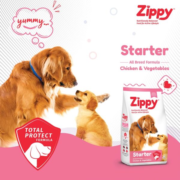 Zippy Starter Dry Dog Food - 1.2 Kg for Pregnant Mother & Weaning Puppy, Real Chicken & Vegetables, Nutritionally Balanced Dog Food for All Breeds, with Vitamins, Minerals, Probiotics & Salmon Oil