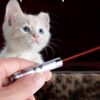 71-lws0fvEL._SL1500_.jpg 1pcs Cat Chasing Toy,cat Toys for Persian,Laser Light,Interactive Toys for Persian, Durable Pet Toy