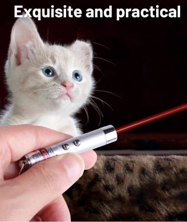 71-lws0fvEL._SL1500_.jpg 1pcs Cat Chasing Toy,cat Toys for Persian,Laser Light,Interactive Toys for Persian, Durable Pet Toy