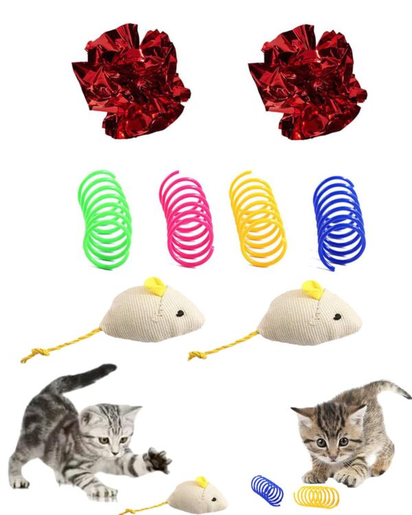 8 PCS Cat Springs, Interactive Cat Toy Set, Includes 2 Mouse Figurines, 4 Colorful Springs, 2 Crinkle Balls, Durable and Safe for Indoor and Outdoor Play, Cats