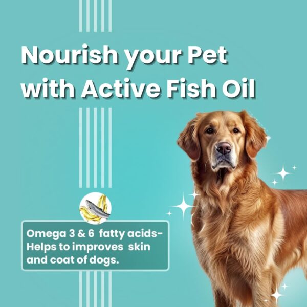 710366WwbQL._SL1500_.jpg BARK OUT LOUD - Multivitamin Dog Treats, Fresh Chicken Immunity Chewstix with Omega & Zinc to Boost Health & Vitality for Dogs & Cats of All Life Stages - 100gm Each (Pack of 3)